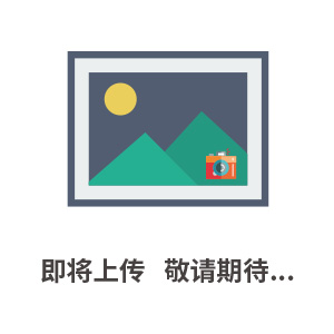胶囊硬度计